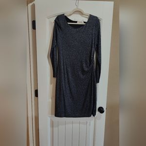 Ann Taylor Loft Long Sleeve Dress